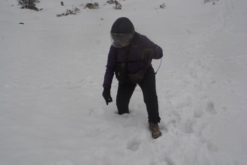 Priya attempts to walk in the knee-deep snow at P T Tso lake.