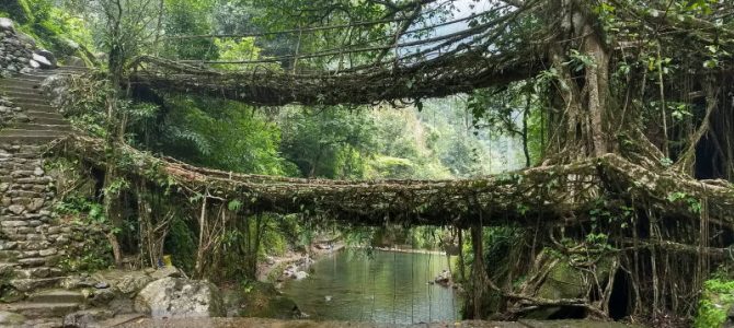 Heavy rainfall in Mawsynram, Sohra in Meghalaya